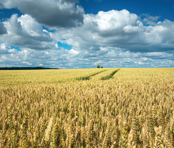 Image d'illustration pour la formation Berthoud – Bases de la pulvérisation